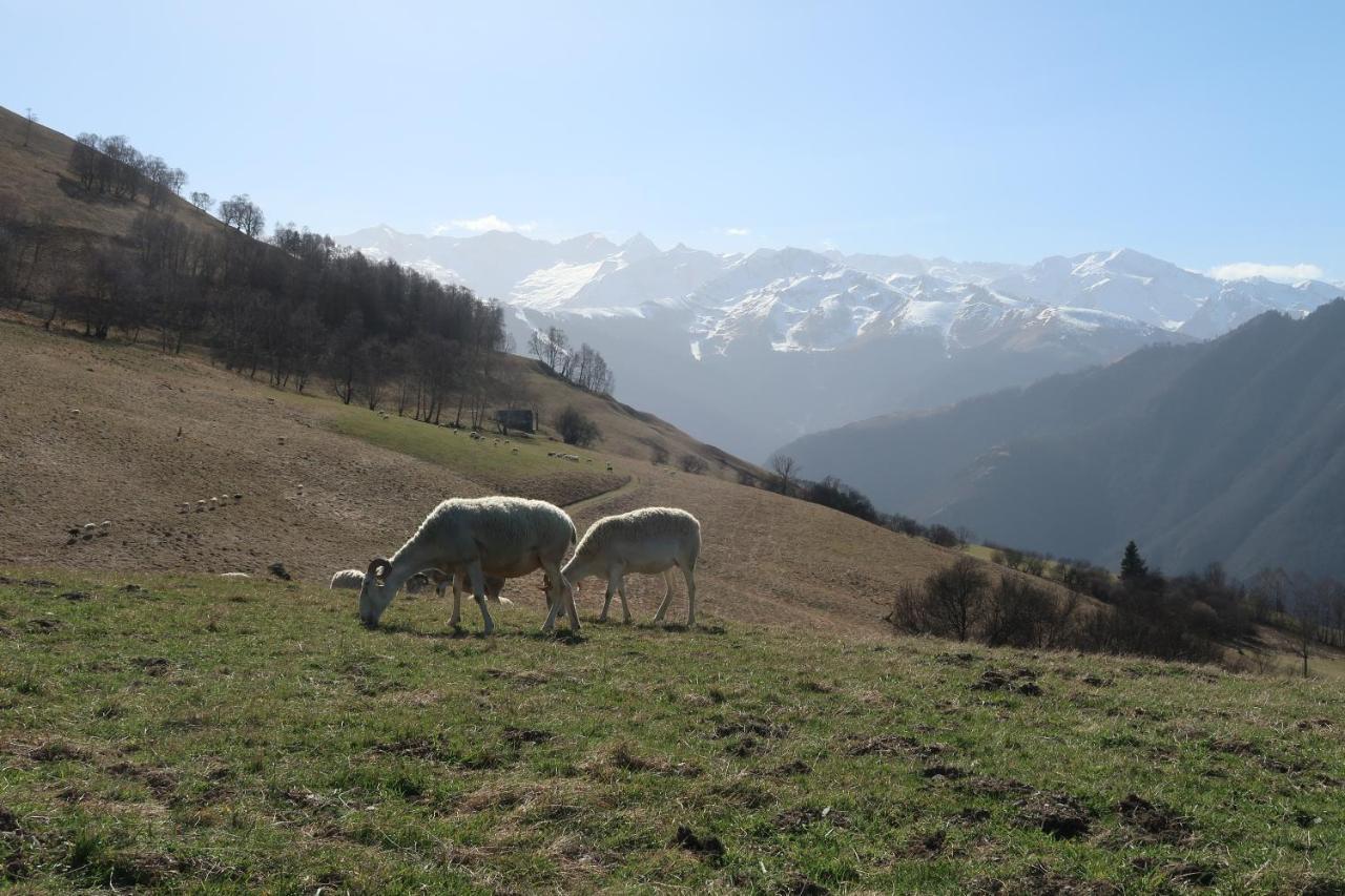 Studio Hyper Centre Lumineux Et Fonctionnel Luchon Bagnères-de-Luchon Esterno foto