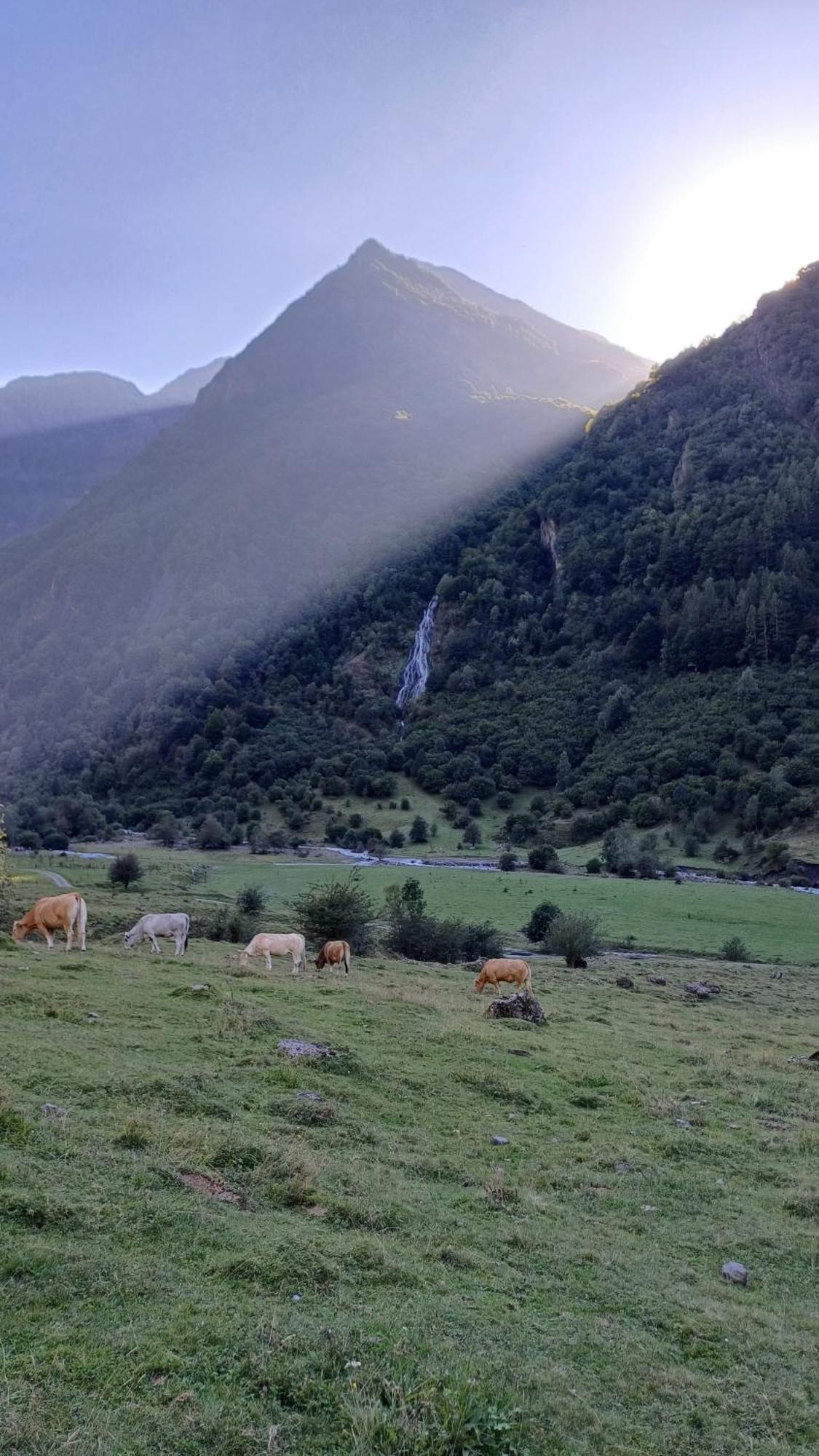 Studio Hyper Centre Lumineux Et Fonctionnel Luchon Bagnères-de-Luchon Esterno foto